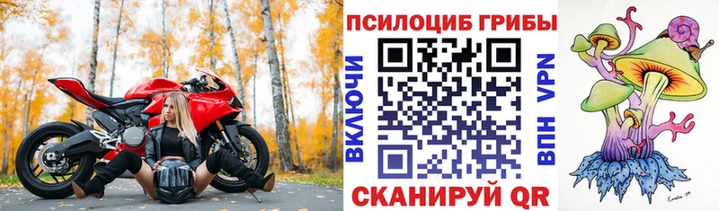 Псилоцибиновые грибы MAGIC MUSHROOMS  Агрыз 